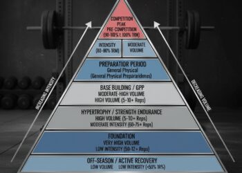 the Sheiko Pyramid for powerlifters
